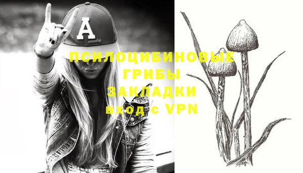 apvp Кущёвская