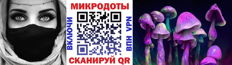 Галлюциногенные грибы Psilocybine cubensis  Купить  Наро-Фоминск 